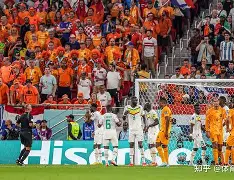 开云体育在线-非洲球队镇守赛场，以团体战力获得冠军的简单介绍  第1张